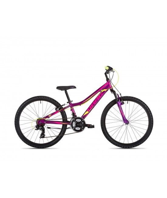 24 Little Grace TY-37 2019 24 Little Grace TY-37 2019